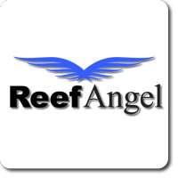 Reef Angel Status
