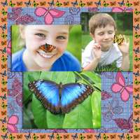 Colagem da foto da borboleta on 9Apps