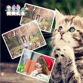 Cute Photo Frame on 9Apps