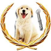 Dog Whistle & Dog Training PRO on 9Apps