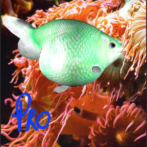 3D Ranchu Gold Fish Live Wallpaper Pro
