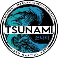 Tsunami MMA on 9Apps