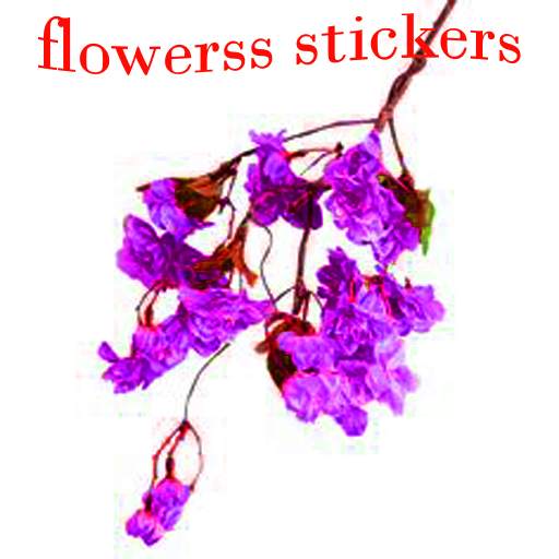 Flowers stickers for whatsapp 2020