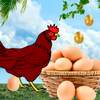 Advance Egg Catcher Surprise: Classic Chicken egg