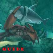 Guide Hungry Shark Evolution