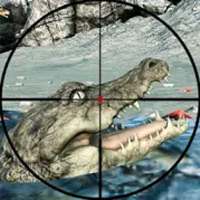 Cá sấu săn bắn trò chơi