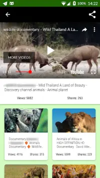 Wild animal documentary online APK Download 2023 - Free - 9Apps Wild animal documentary online APK Download 2023 - Free - 9Apps