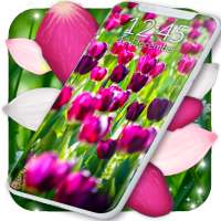 Spring Petals Live Wallpaper ❤️ Flower Wallpapers on 9Apps