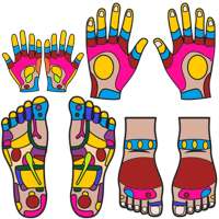 Reflexology Guide on 9Apps