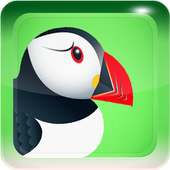 Free Puffin Web Browser Tips