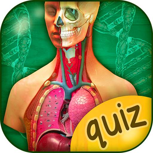 The Human Anatomy Quiz App On Human Body Organs