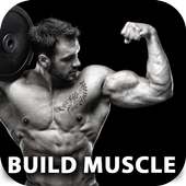 Build Muscle on 9Apps