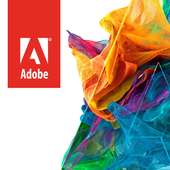 Adobe Strategic Accounts 2016