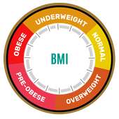 BMI Calculator, BMI monitor, BMI tracker