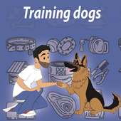 Training dogs