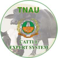 Cattle Expert System on 9Apps