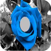 Flower Photo Frames on 9Apps