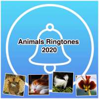 Animals Ringtones 2020 on 9Apps