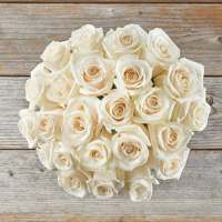 White rose love on 9Apps