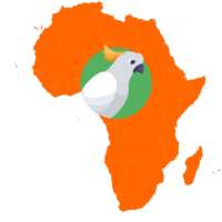 The African Parrot