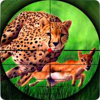 Cheetah Hunter 2016 - chasseur