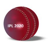 IPL INDIAN PREMIER LEAGUE 2020 PRO   