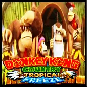 Donkey Kong Country Tropical Freeze - 100% Longplay (Perfect
