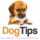 Dog Training Tips on 9Apps