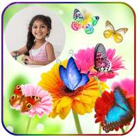 Butterfly Photo Frames