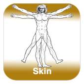 Anatomy - Skin
