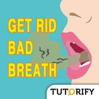 How to Get Rid of Bad Breath - Cause and Solution on 9Apps