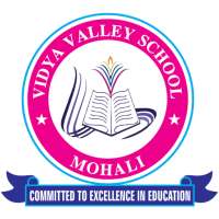Vidya Valley School