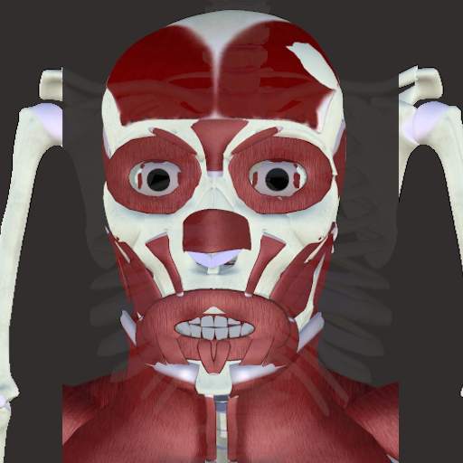 Human Anatomy-3D Atlas