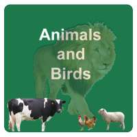 Learn Animals and Birds in English - Quiz on 9Apps