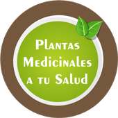 Plantas y hierbas curativas