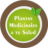 Plantas y hierbas curativas