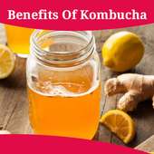 Health Benefits Of Kombucha