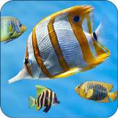 Aquarium Fish Wallpaper 3D: Live Fish Backgrounds