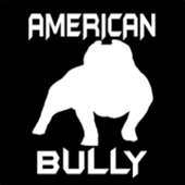 Radio American Bully