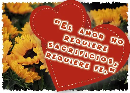 sitio Coca Violeta Descarga de la aplicación Frases de amor con girasoles 2023 - Gratis - 9Apps