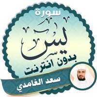 surah yasin full Saad Al Ghamidi Offline