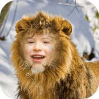 Lion Face Photo Editor on 9Apps