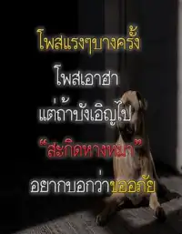 คำคมแรงๆ ด่าคน Apk Download 2023 - Free - 9Apps