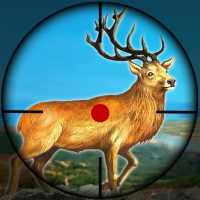 Wild Deer Hunting Animal Shooting Game 2020