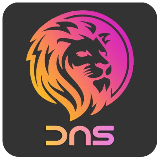 Lion DNS Changer | Internet Optimizer Reduce Ping