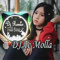 Dj Te Molla Remix Full Bass Offline on 9Apps