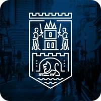Satu Mare City App