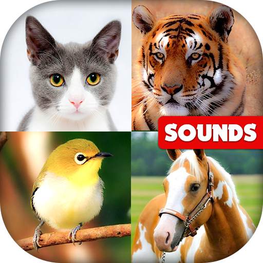 Animal Sounds: Sounds with Images