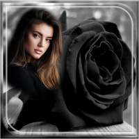 Black Rose Photo Frame on 9Apps