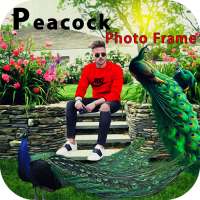 Peacock Feathers Photo Frames on 9Apps